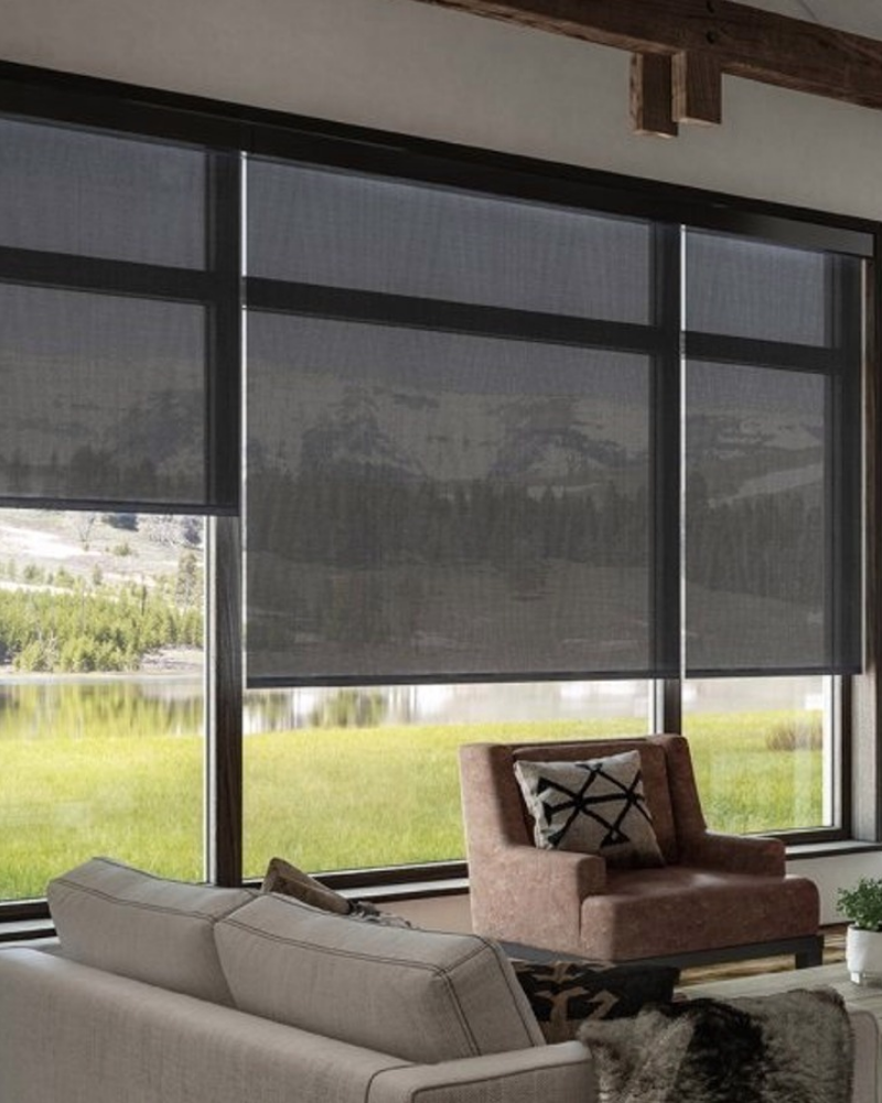 Motorized Window